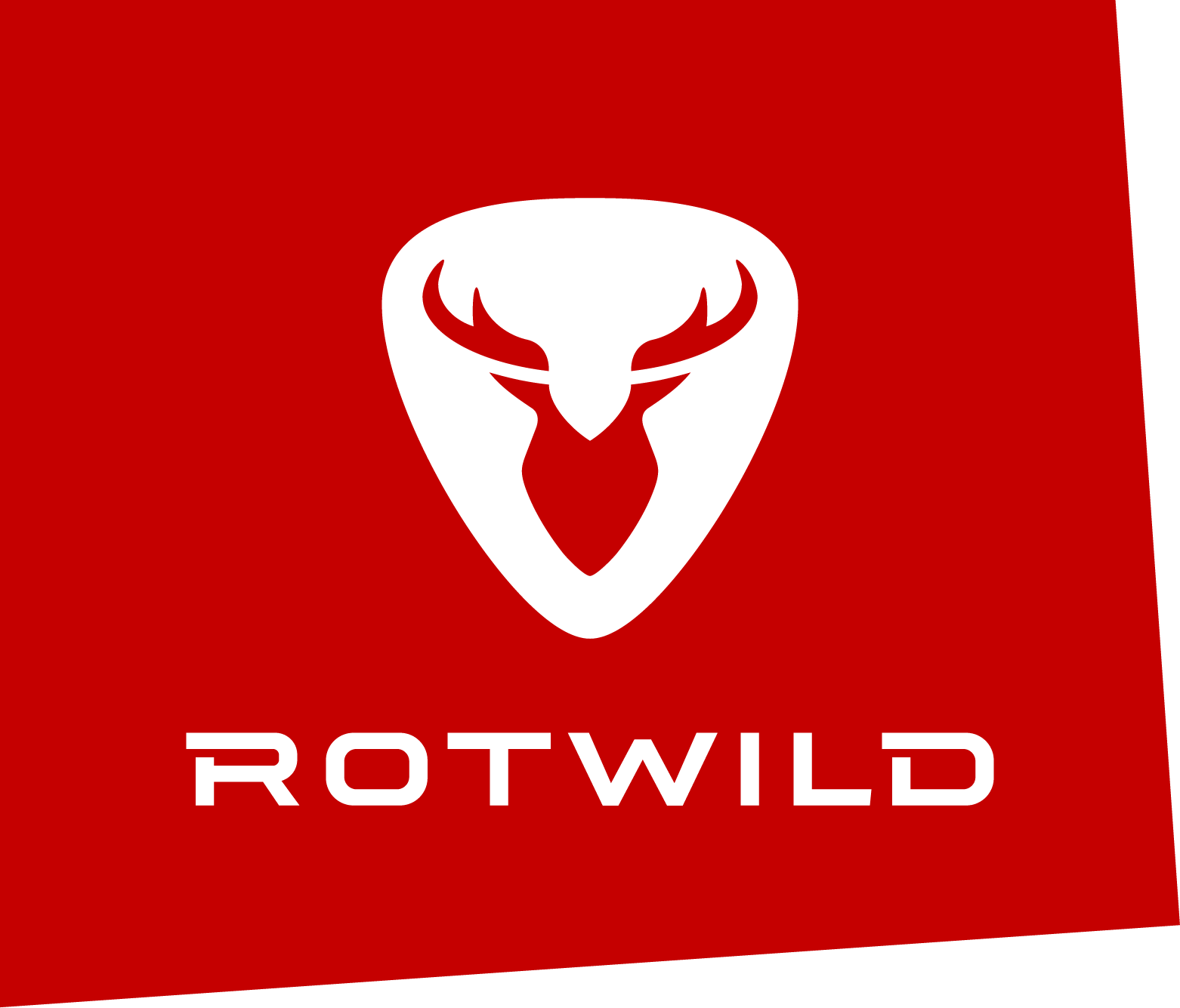 Rotwild B220 Lenker 660mm